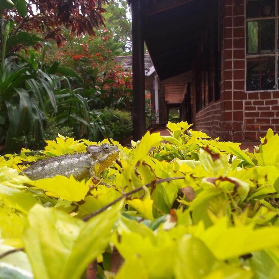 Thomsons Falls Lodge Nyahururu Екстериор снимка